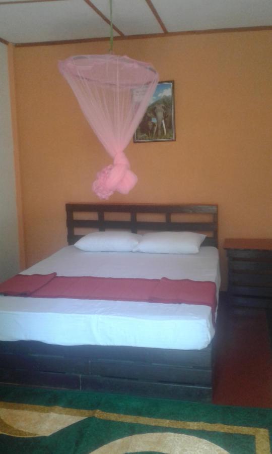 Lily Adam'S Peak Bed & Breakfast Nallathanniya Exterior photo
