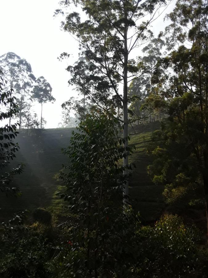 Lily Adam'S Peak Bed & Breakfast Nallathanniya Exterior photo